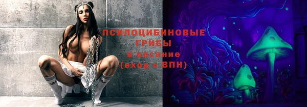 а пвп мука Алзамай