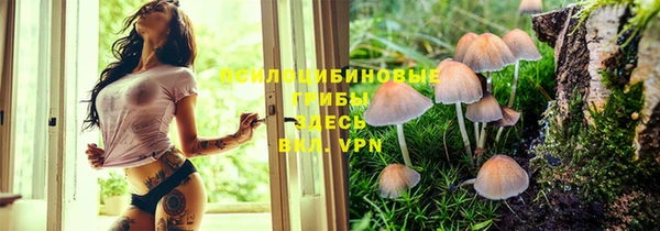 первитин Алексеевка