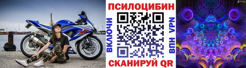 Псилоцибиновые грибы мицелий Среднеколымск